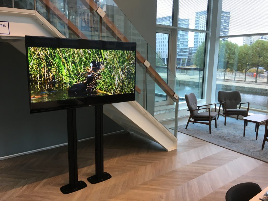 HaagWonen - Otter Audio VisueelOtter Audio Visueel